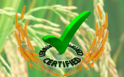 Food Safety Standards Descend on Rice Mills